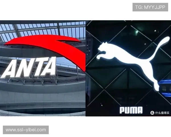 安踏收购彪马29.06%股权成第一大股东，全球化布局再落一子